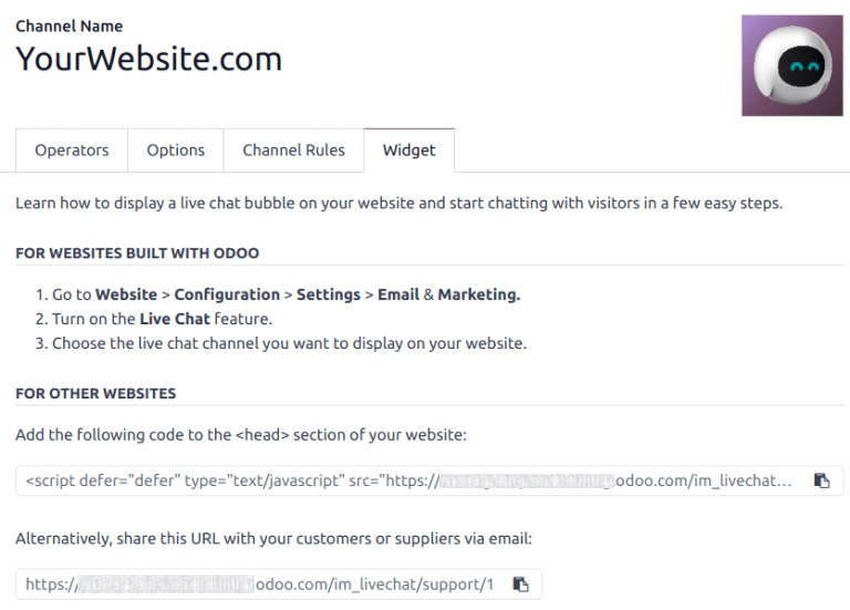 View of the widget tab for NightPOS Live Chat.
