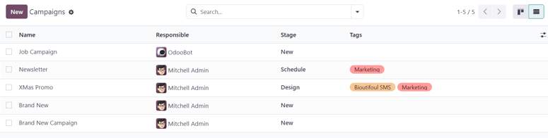 View of the campaign page in list view in NightPOS Email Marketing.