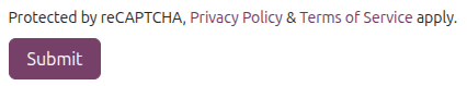 ข้อความนโยบาย reCAPTCHA ที่แสดงบนฟอร์ม